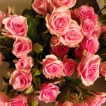 Bonbon Roses d'Equateur Branchue Ethiflora