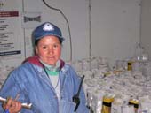 Employee d'une ferme floricole en Equateur